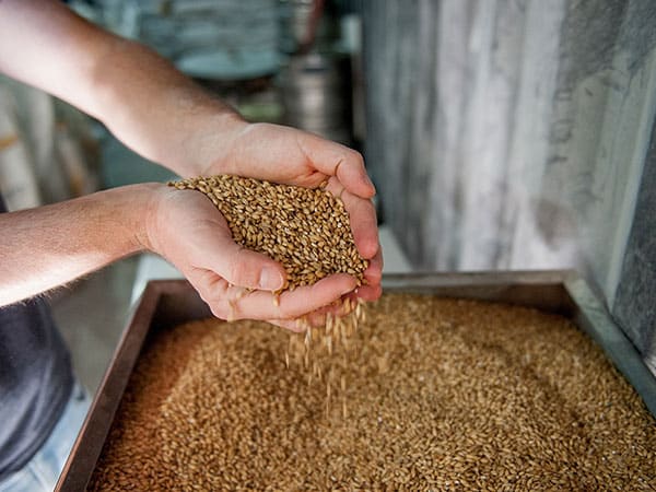 composition de la bière