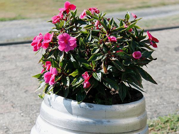 bricolage de fût de bière