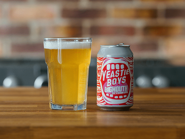 levure de bière et fermentation