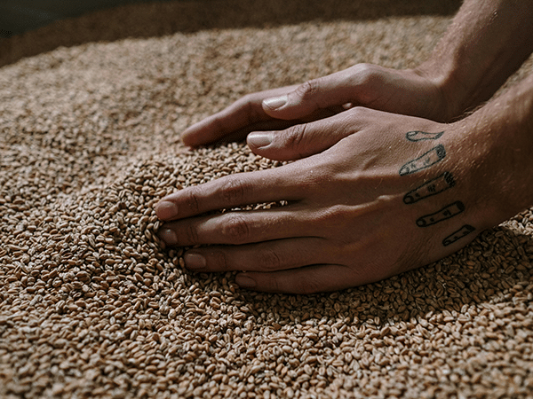 mouvement craft beer