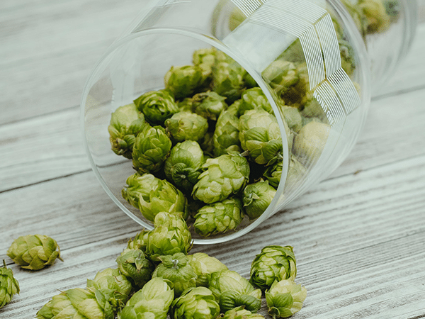 houblon india pale ale ipa