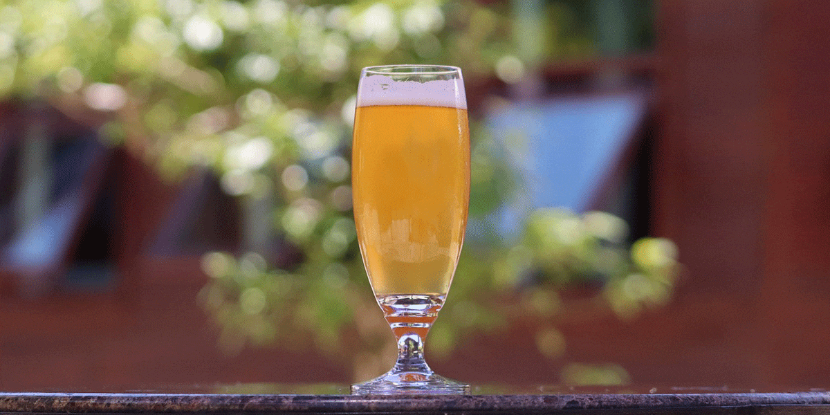 biere-preferee-francais